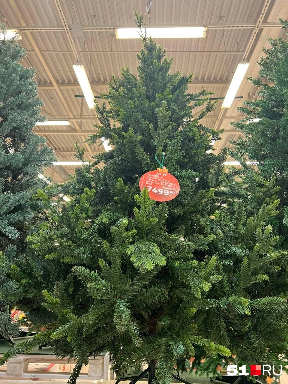 Источник: Александра Балаба