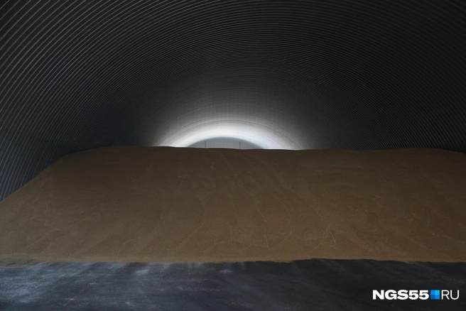 Зерно нового урожая в ангарах | Источник: Евгений Софийчук / NGS55.RU 