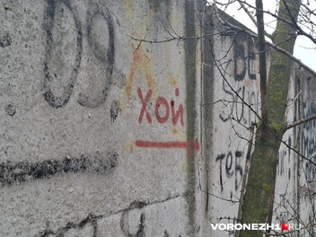 Попав на кладбище, идите по стрелкам… | Источник: Алёна Воропаева / Voronezh1.ru