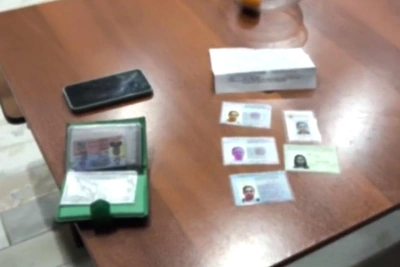 Жительница Петербурга заработала 112 млн на нелегальных нянях