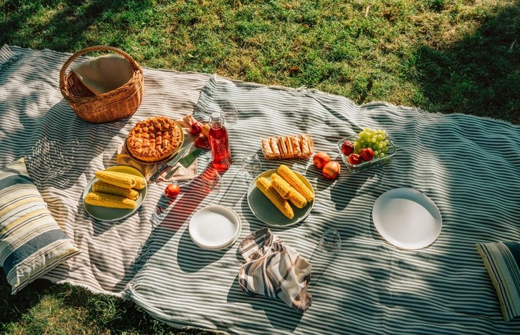 Источник: Soloviova Liudmyla/Shutterstock/Fotodom.ru