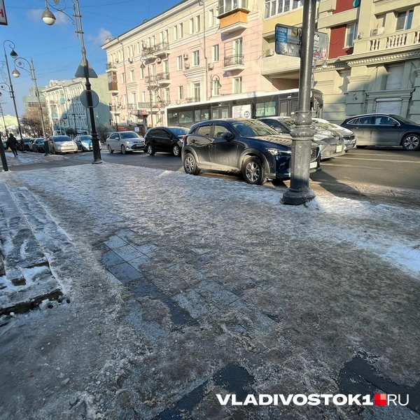 Источник: Елена Буйвол / VLADIVOSTOK1.RU