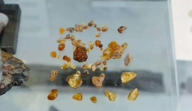 Ученые Горного университета в Санкт-Петербурге проведут детальный анализ образца, включая определение точного возраста с помощью современных методов | Источник: Nk-tv.com