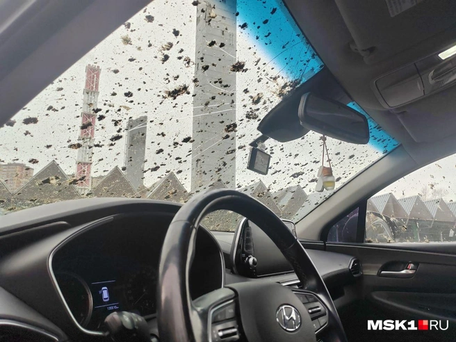 Источник: Михаил Мечев / MSK1.RU