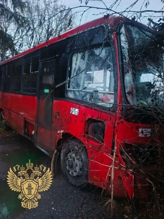 Пассажирский автобус улетел в кювет под Волосово. Без пострадавших не обошлось | Источник: прокуратура Ленинградской области