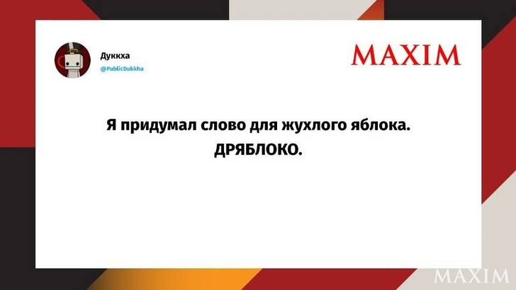 Лучшие смешные шутки недели и «меркантильные богатыри» | Источник: MAXIM / X (Twitter)