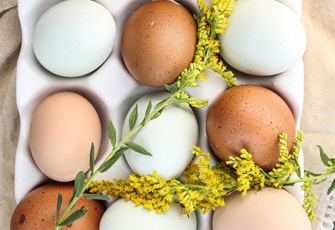Как проверить свежесть яиц, надо ли выбирать чистые и еще 3 важных вопроса в канун Пасхи