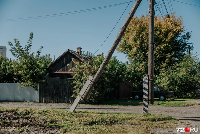 В этом тихом частном секторе очень много зелени  | Источник: Ирина Шарова / 72.RU 