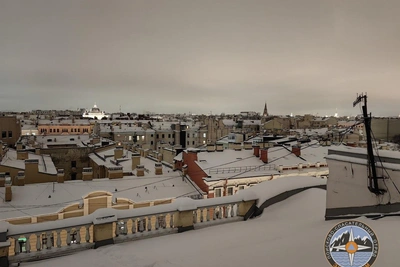 Петербургского кота из дымохода спасают с прошлого года