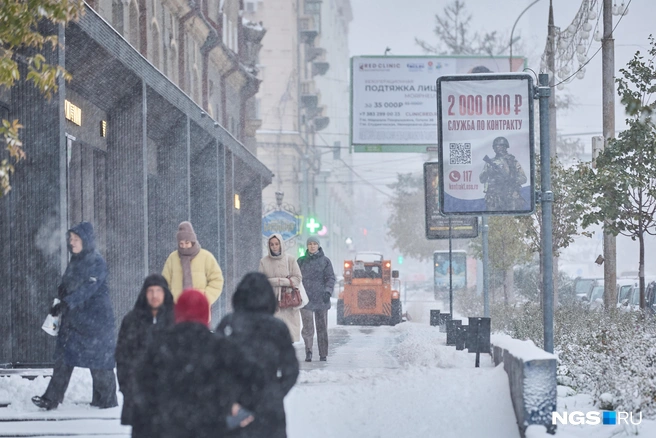 Источник: Александр Ощепков / NGS.RU