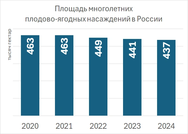 Площадь многолетних плодово-ягодных насаждений, Росстат  | Источник: «Фонтанка.ру»