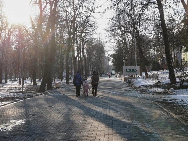 Источник: Правительство Ростовской области 