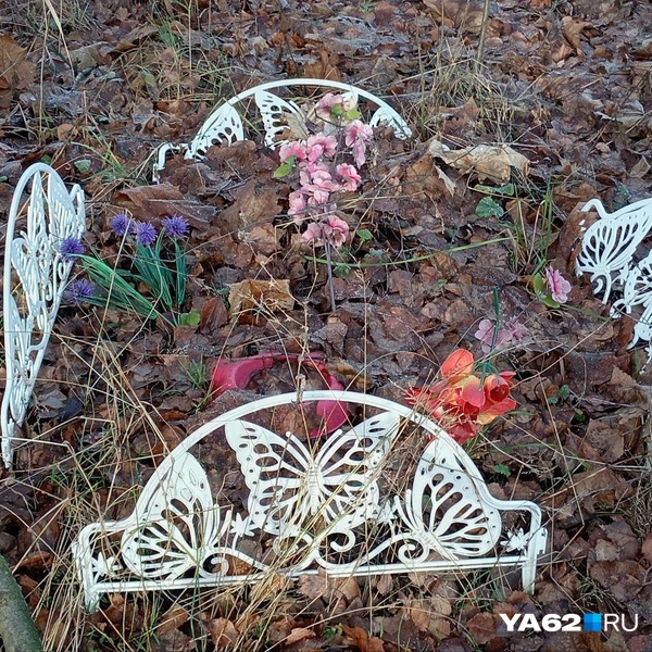 Источник: Анастасия Фокина / YA62.RU