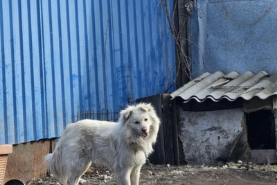 Мобильный фотограф показал весну в станице Луковской