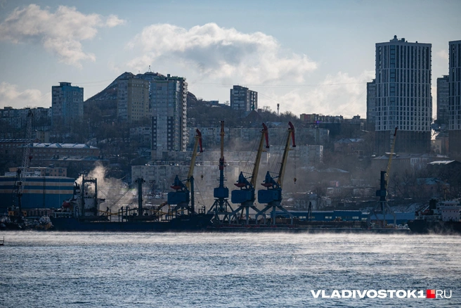 Источник: Елена Буйвол / VLADIVOSTOK1.RU