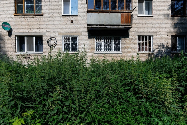 фото из архива | Источник: Ирина Шарова / 72.RU