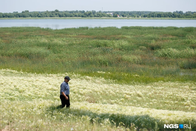 Сложно поверить в то, что когда-то на этом месте была вода | Источник: Андрей Бортко / NGS.RU