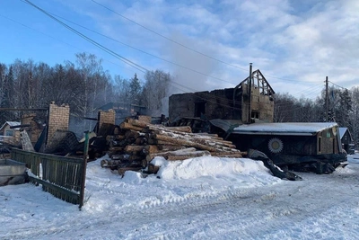 150 животных погибли при пожаре в Городецком районе