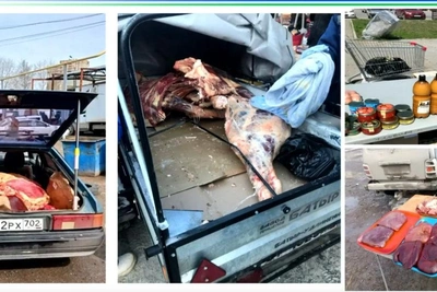 В Уфе указали на теневой оборот мяса и рост очагов бешенства