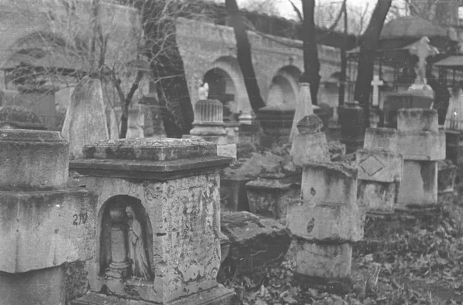 Источник: Vitale / Paatvu.com