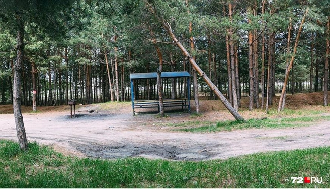 Ровно три комплекта беседок, вот такие, ждут здесь отдыхающих | Источник: Ирина Шарова / 72.RU 