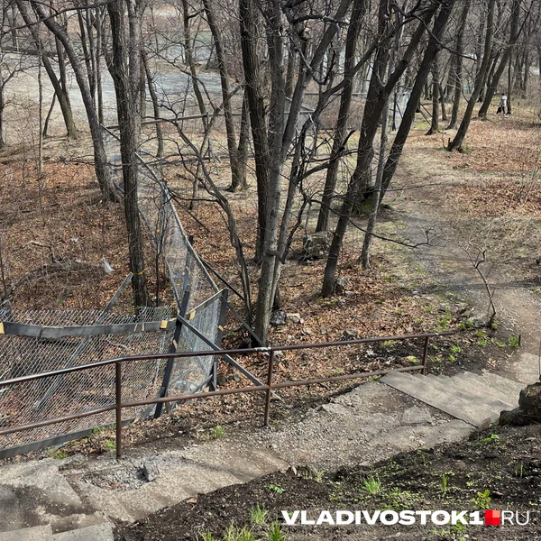 Источник: Елена Буйвол / VLADIVOSTOK1.RU