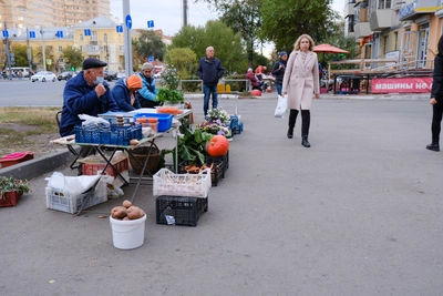 В Самаре пенсионерам-дачникам предоставят бесплатные точки