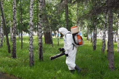 Костромские кладбища обработают от клещей повторно