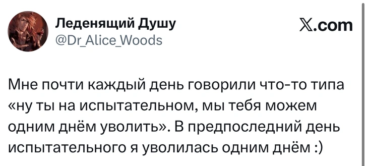 Источник: X (Twitter)