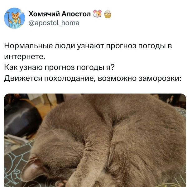 Источник: Twitter (X)