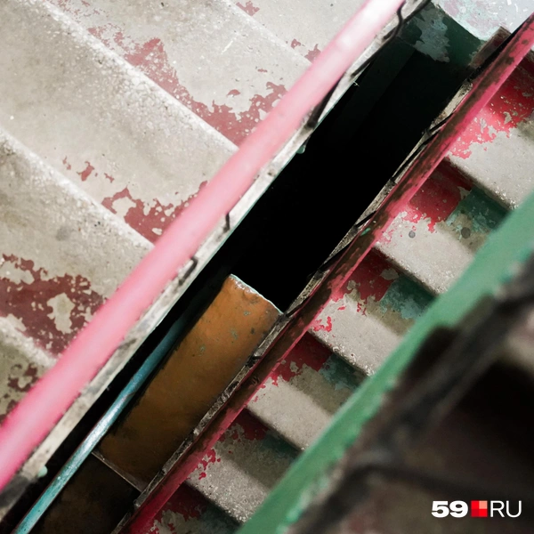 Источник: Репсиме Зурнаджян / 59.RU