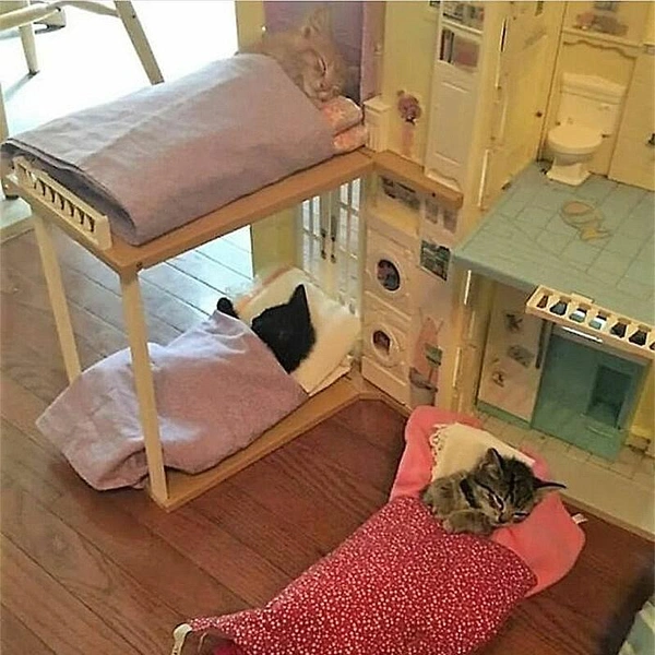 Источник: соцсети