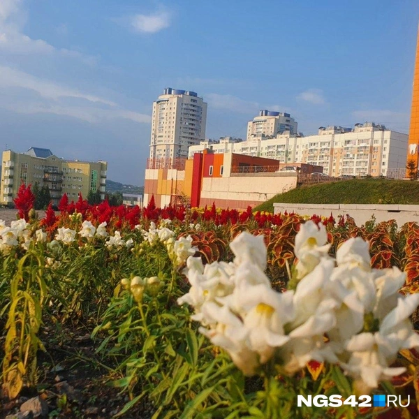 Источник: Полина Чернядьева /NGS42.RU