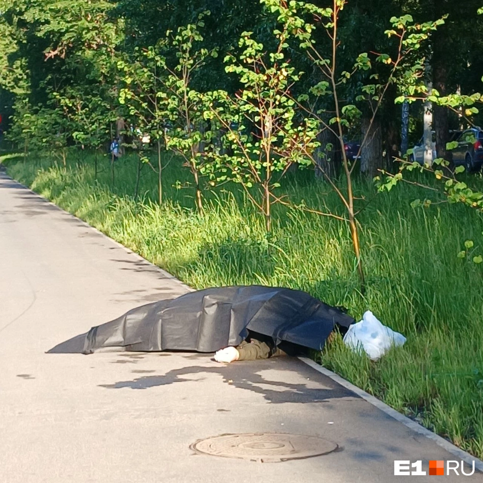 В Екатеринбурге у «золотой» школы на Вторчермете нашли труп - 11 июня 2024  - Е1.ру