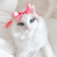 Аватарка Ирина