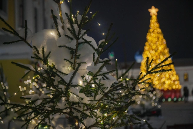 Новогодние каникулы пройдут с 31 декабря по 12 января | 142.ru