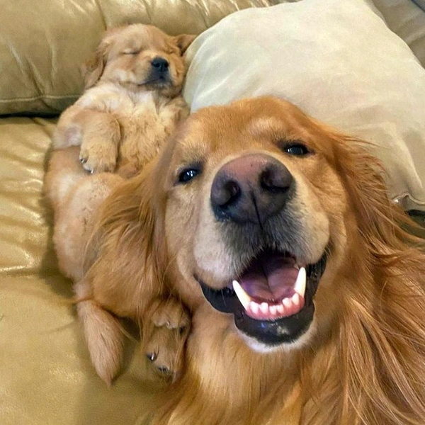 Источник: соцсети