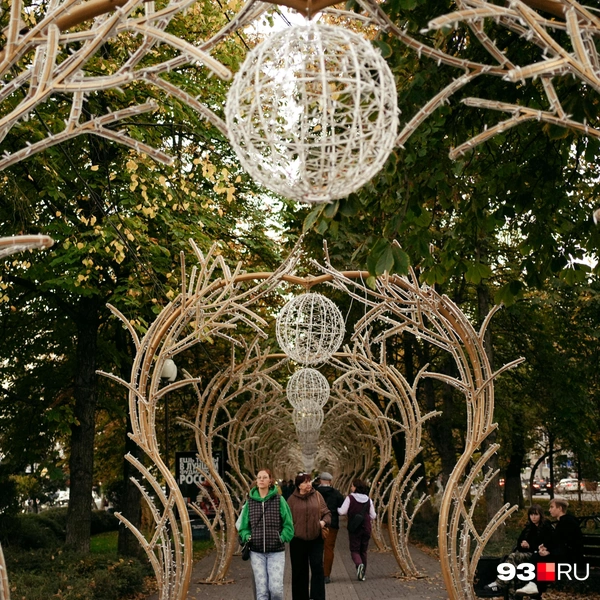 Источник: Дарья Паращенко / 93.RU