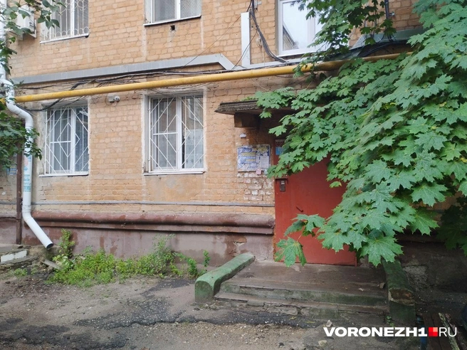 Источник: Дмитрий Волгин / Voronezh1.ru