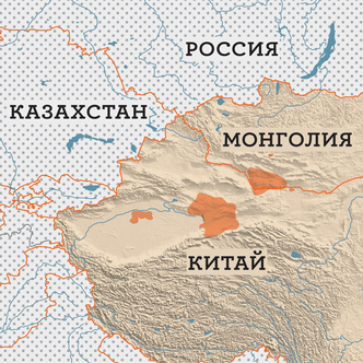 Сухой закон: как верблюды выживают в экстремальных условиях