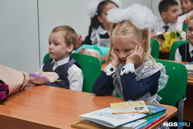 Через три месяца можно будет пройти новое тестирование | Источник: Александр Ощепков / NGS.RU
