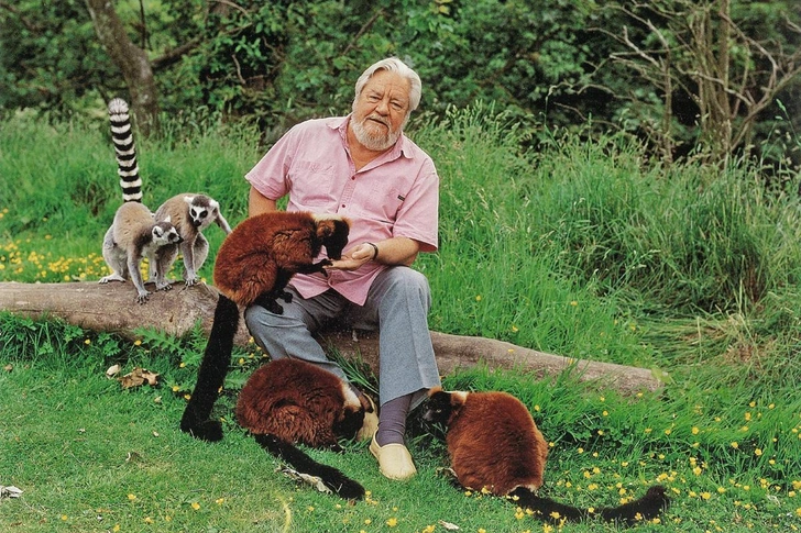 Джеральд Даррелл на острове Джерси | Источник: Durrell Wildlife Conservation Trust