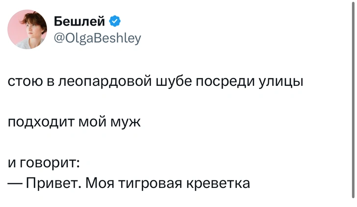 Источник: X (Twitter)