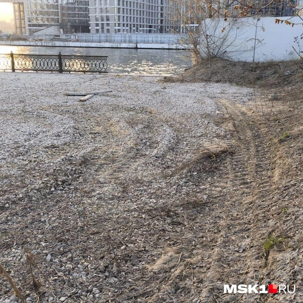Но к этому месту не подъехать | Источник: Михаил Мечев / MSK1.RU