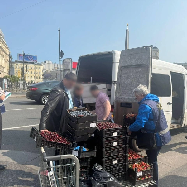 Источник: Комитет по законности СПб