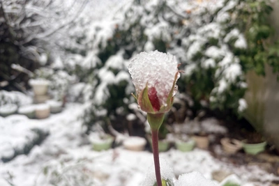 В Сочи объявили штормовое предупреждение