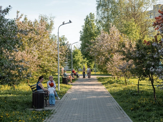В сквере множество цветущих деревьев — ощущение, словно находишься в саду. | Источник: Александр Куренной / 76.RU