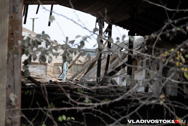 Внутри заросло деревьями, кустами и травой | Источник: Елена Буйвол / VLADIVOSTOK1.RU