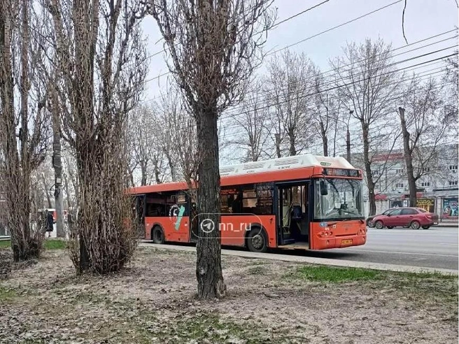 Автобус сошёл с рейса | Источник: читатель NN.RU