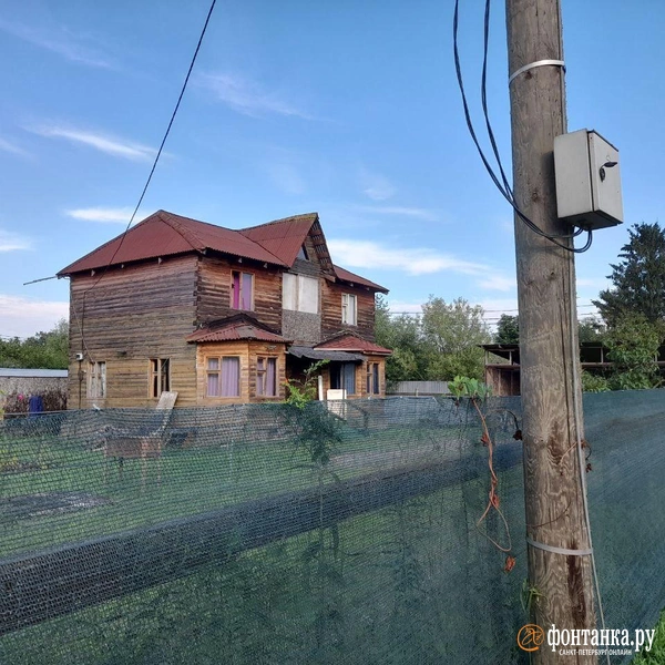 Источник: Анна Мотовилова / «Фонтанка.ру»